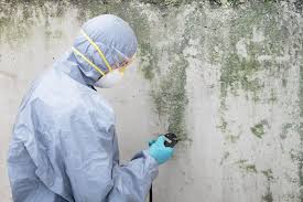 Mold Remediation for Vacation Homes in Decatur, AR